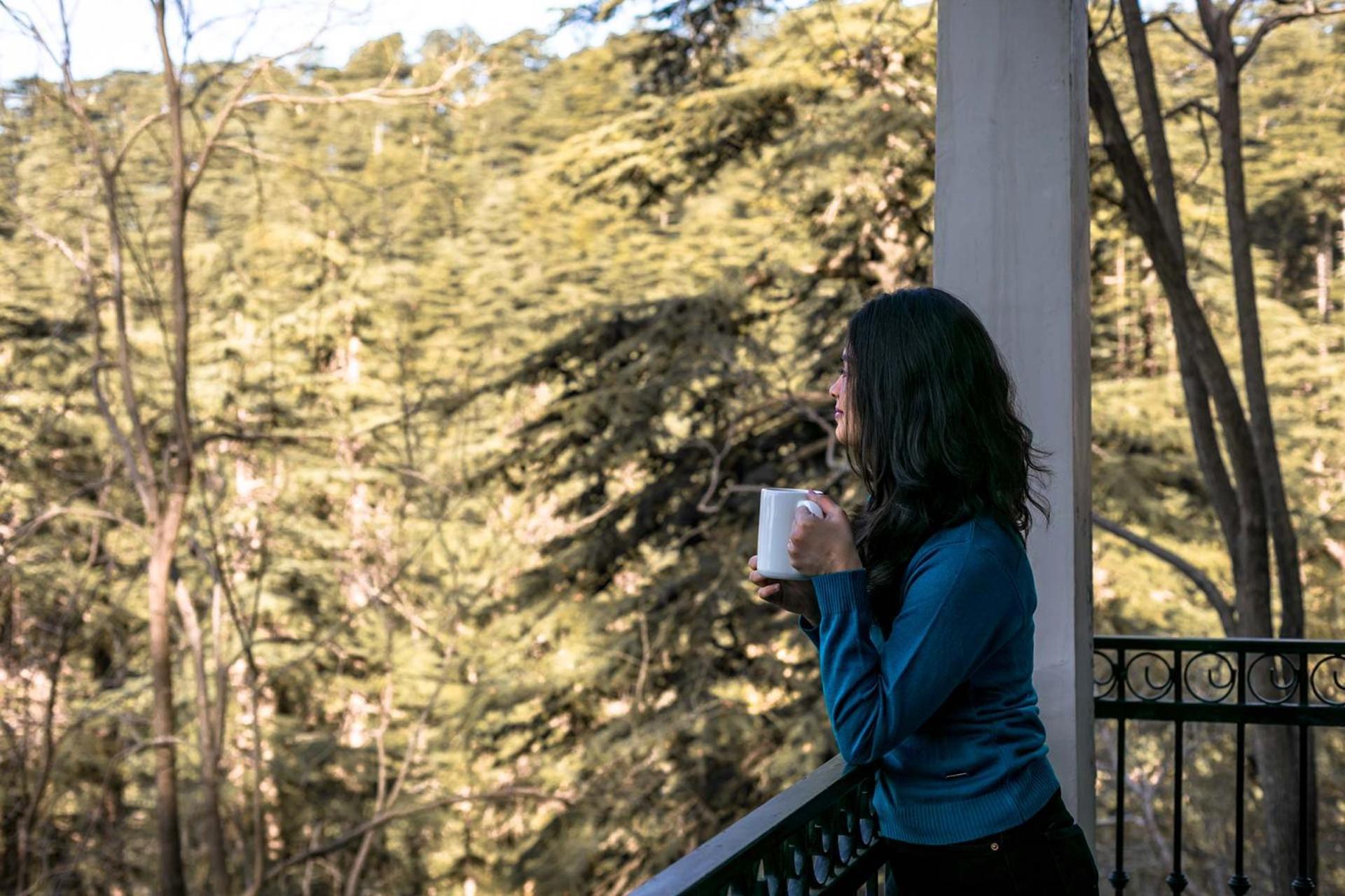 Stayvista At Pine Estate With Outdoor Jacuzzi Shimla Luaran gambar